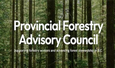 provincial-forest-advisory-council-launches-website-engagement-process