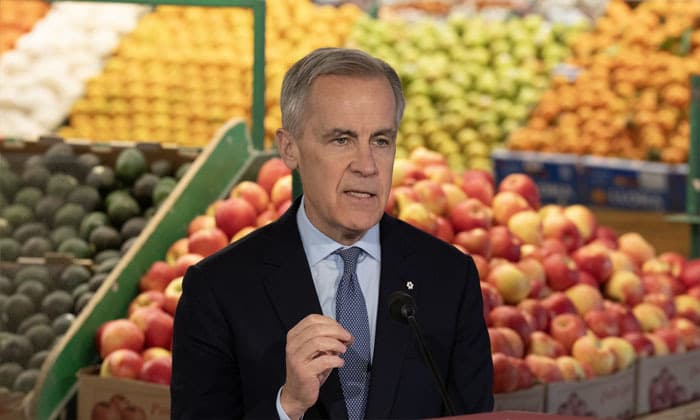 grocery-benefit-top-up-payments-begin-for-eligible-canadians