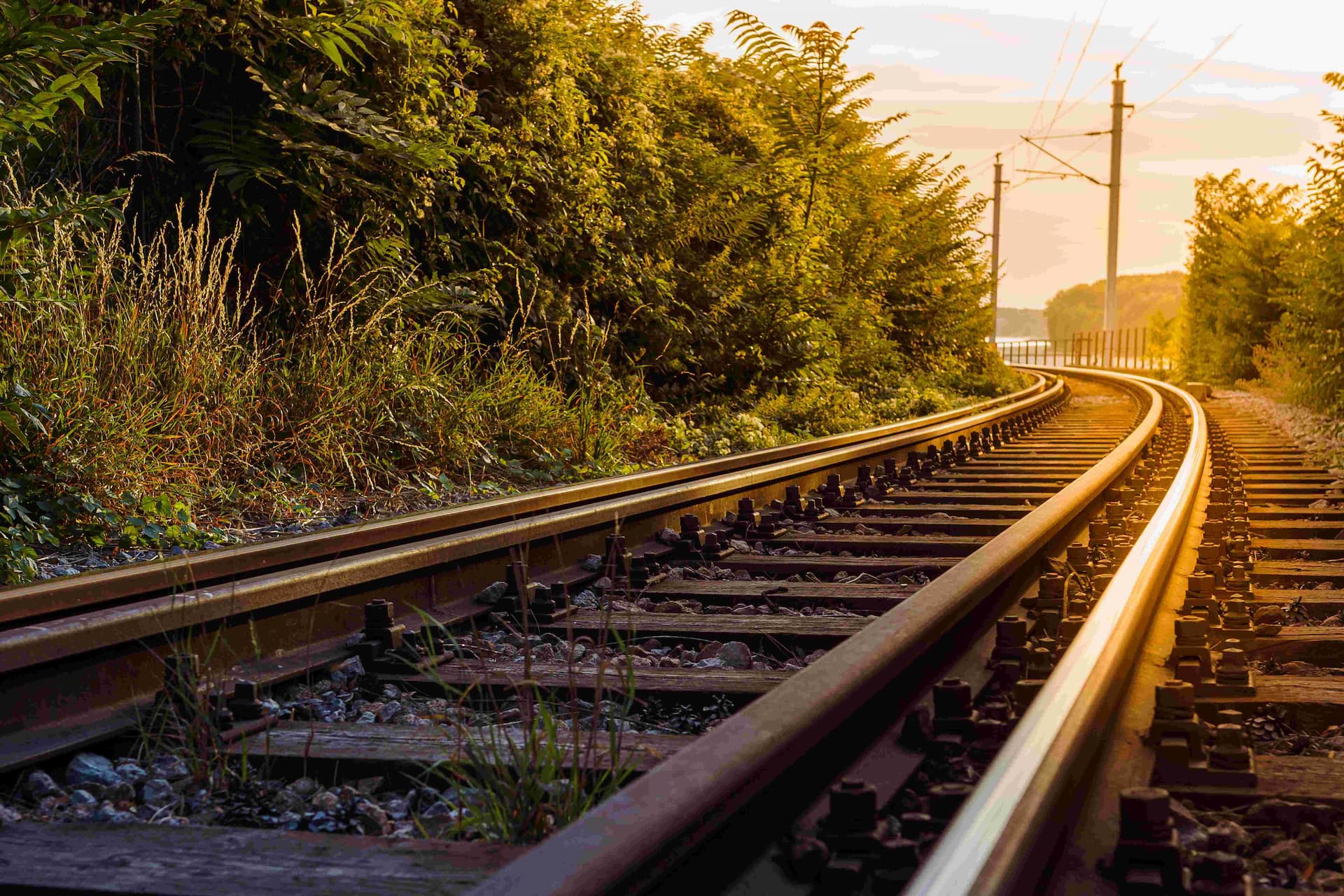 rail-work-stoppage-shuts-down-some-ontario-quebec-commuter-rail-lines