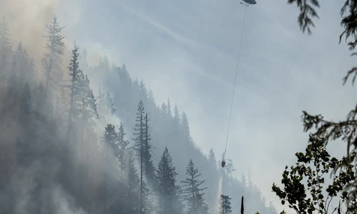 the-2025-wildfire-season-is-on-track-to-be-canadas-2nd-worst-on-record