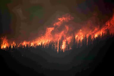 canadian-wildfires-entirely-drove-surge-in-global-tree-loss-in-2023-study-says