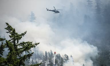 police-seeking-information-on-dryden-creek-wildfire