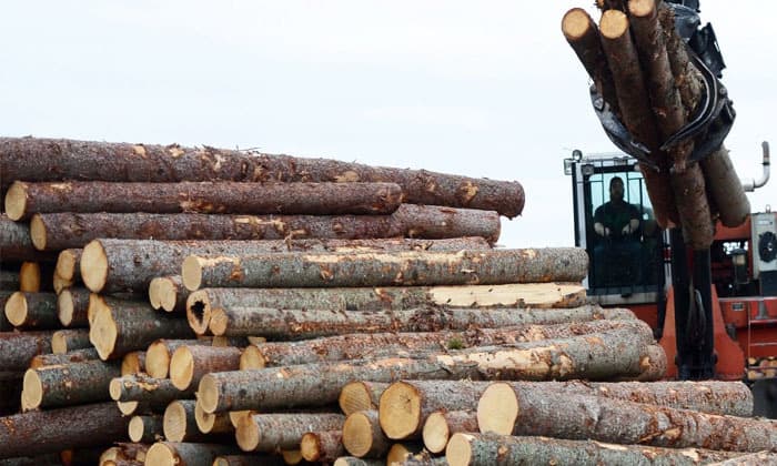 trade-minister-criticizes-higher-u-s-softwood-lumber-duties-as-unfair-unwarranted