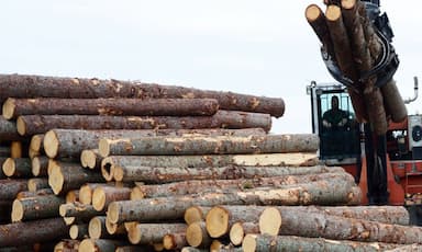 trade-minister-criticizes-higher-u-s-softwood-lumber-duties-as-unfair-unwarranted