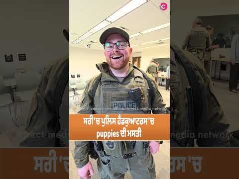 Could your name “B” chosen for a potential police dog?