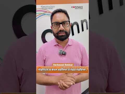 Edmonton news | Rain Brings a Mosquito Boom to Edmonton | What Residents Need to Know