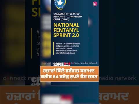 Canadian law enforcement seized 386 kg of fentanyl