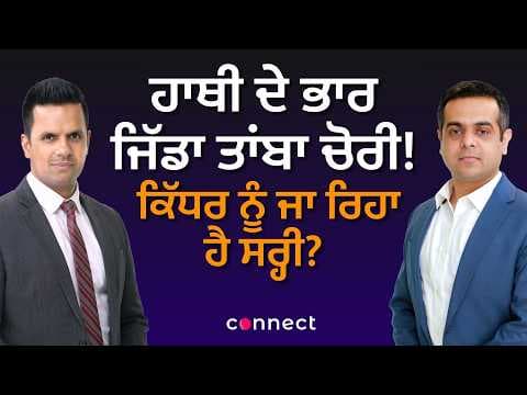 ਹਾਥੀ ਦੇ ਭਾਰ ਜਿੱਡਾ ਤਾਂਬਾ ਚੋਰੀ! ਕਿੱਧਰ ਨੂੰ ਜਾ ਰਿਹਾ ਹੈ ਸਰ੍ਹੀ?