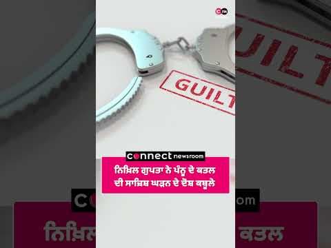 ਨਿਖ਼ਿਲ ਗੁਪਤਾ ਨੇ ਪੰਨੂ ਦੇ ਕਤਲ ਦੀ ਸਾਜ਼ਿਸ਼ ਘੜਨ ਦੇ ਦੋਸ਼ ਕਬੂਲੇ