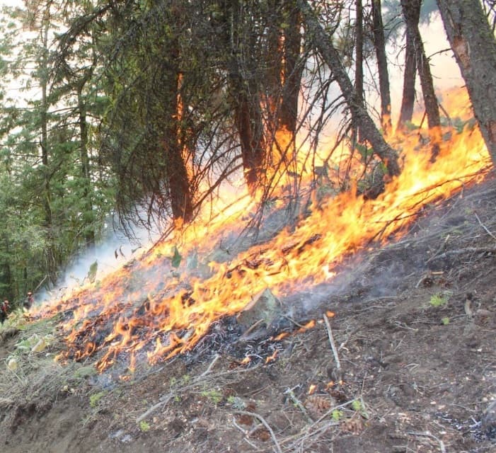n-l-wildfire-wort-in-6-decades-harbour-breton-facing-shortage-of-food-and-supplies-after-being-cut-off-from-other-communities