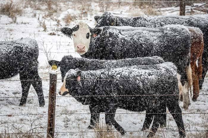 el-niño-brings-a-warm-start-to-winter-but-that-could-change-weather-network