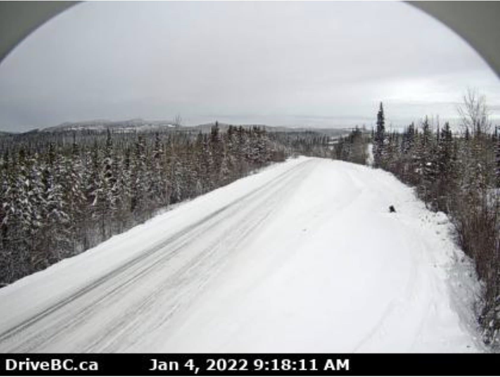 southern-b-c-braces-for-heavy-snow-as-northern-region-endures-bone-chilling-cold