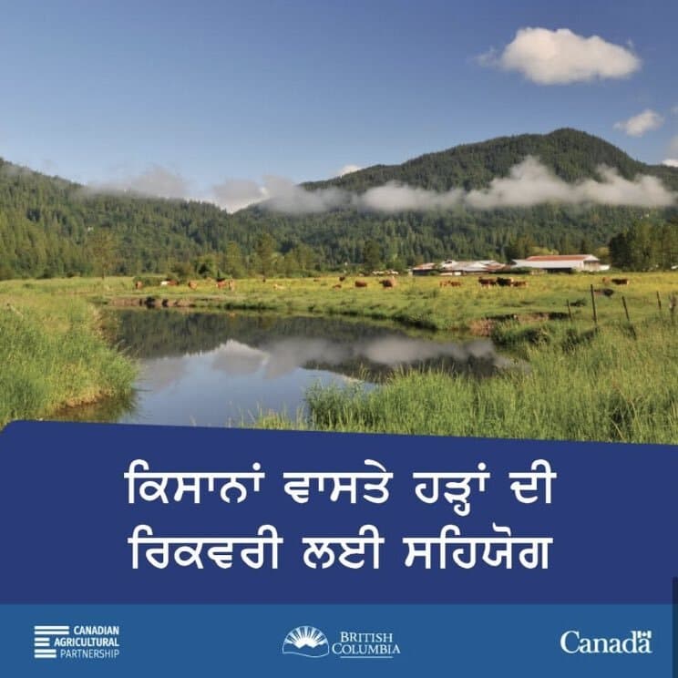 228m-flood-recovery-program-helping-b-c-farms-return-to-production