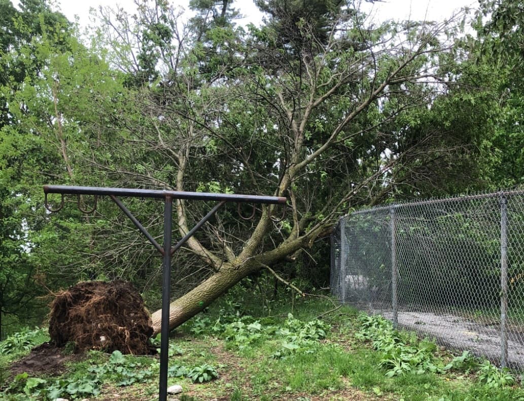 schools-and-roads-still-closed-in-some-parts-of-ontario-as-crews-work-to-clear-downed-trees-and-power-lines