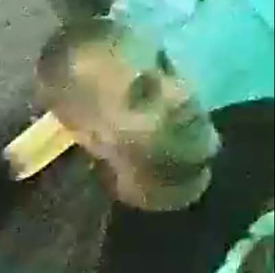 vancouver-police-seek-assistance-to-solve-granville-street-assault