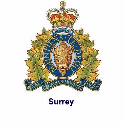 bylaw-officers-issue-15-tickets-and-tow-vehicles-after-complaints-about-noise-and-traffic-during-a-wedding-in-surrey