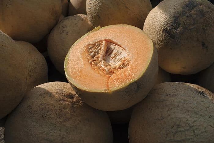 salmonella-spread-by-eating-malichita-brand-melons-in-canada-5-people-died
