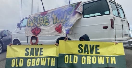 save-old-growth-says-it-will-de-escalate-disruptive-actions-that-have-blocked-key-highways-and-bridges