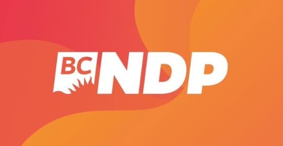democracy-watch-says-it-hopes-a-court-ruling-in-its-favour-will-stop-future-snap-elections-that-it-calls-unfair-and-illegal