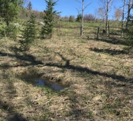 search-uncovers-171-plausible-burials-near-ontario-residential-school