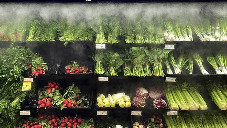 grocers-called-back-to-parliament-to-testify-about-plans-to-stabilize-prices