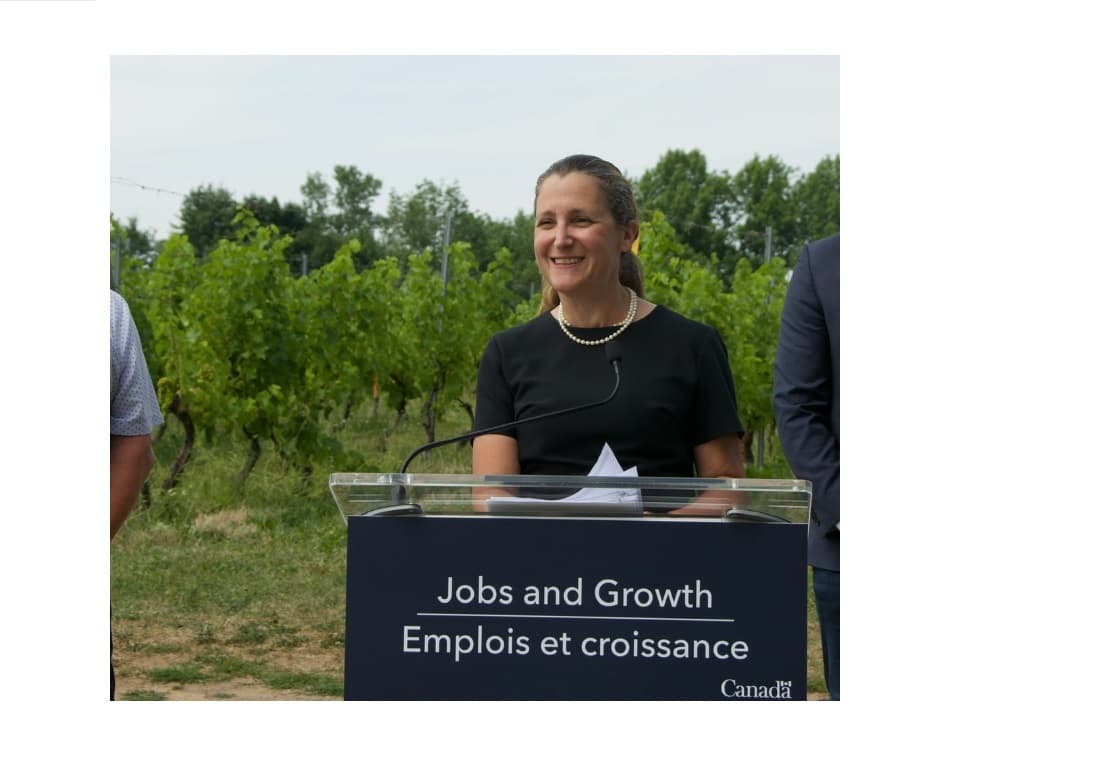 national-employment-numbers-for-july-from-statistics-canada-show-loss-of-31-000-jobs