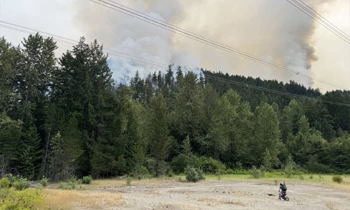 lightning-sparks-surge-in-b-c-wildfires-as-more-than-100-fires-burn-across-province