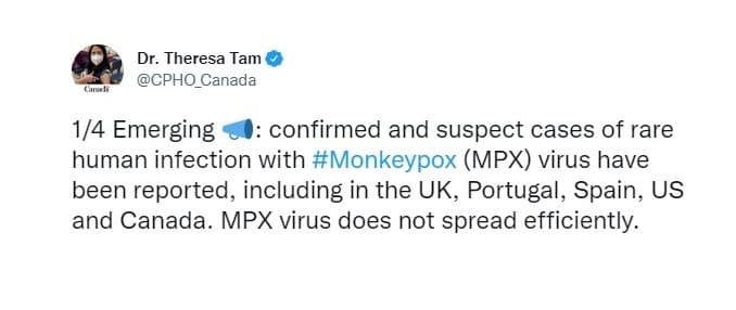 monkeypox-poses-low-risk-to-canada-public-health-agency-investigating-about-20-cases