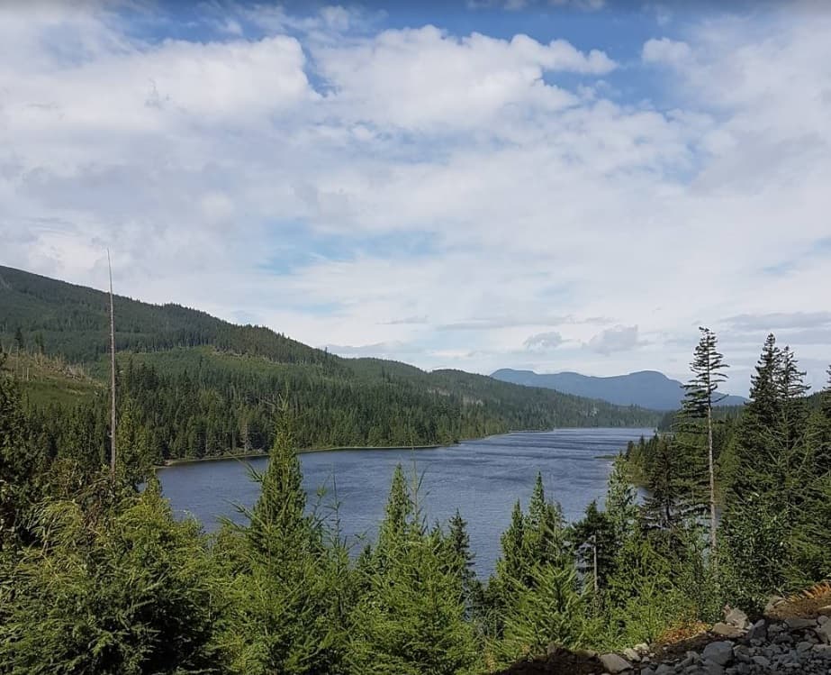 pilot-killed-in-helicopter-crash-in-remote-area-of-vancouver-island