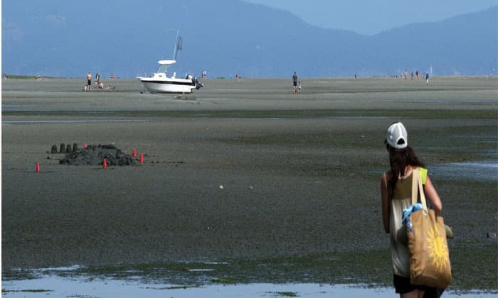 heat-warnings-issued-across-southern-b-c-after-multiple-temperature-records-fall