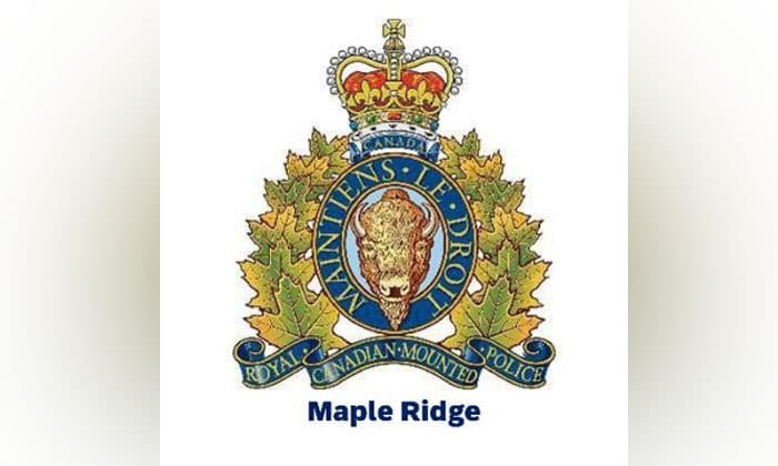 multiple-arrests-made-as-rcmp-execute-coordinated-raids-in-maple-ridge