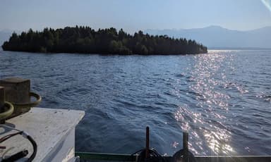 mysterious-floating-island-spotted-on-b-c-s-williston-lake-boaters-warned-to-stay-away