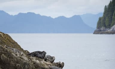 heavy-rain-warning-issued-for-b-c-north-coast-as-pacific-storm-moves-in