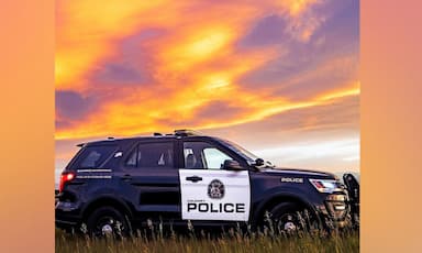 calgary-police-report-rise-in-domestic-violence-cases-as-city-nears-five-year-high