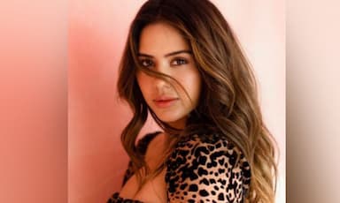 court-halts-release-of-punjabi-film-pitt-siyapa-over-copyright-claim